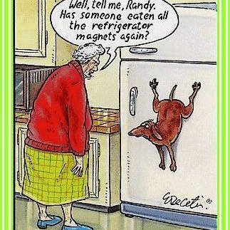 Robin Snow's album, Timeline Photos
