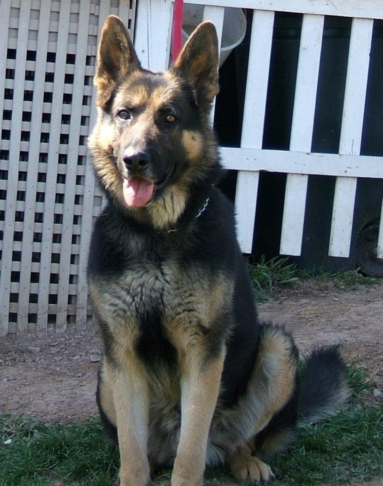 Karen Reed's album, Untitled Album
