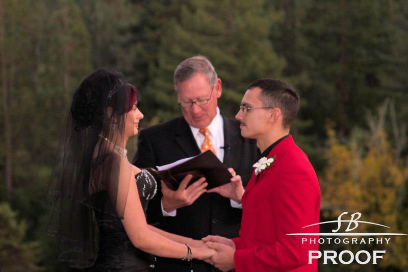 Victoria DeLaO's album, Elyse & Chris' Wedding