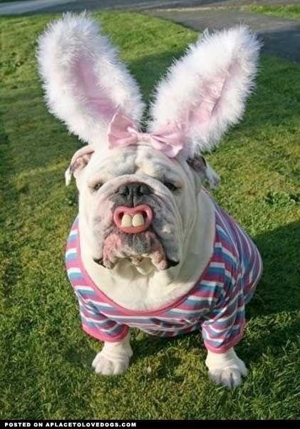 William Mosher's album, Timeline Photos