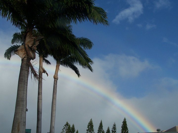 Ray Garza's album, Island Wide