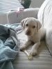 Kim McLeod's album, Timeline Photos
