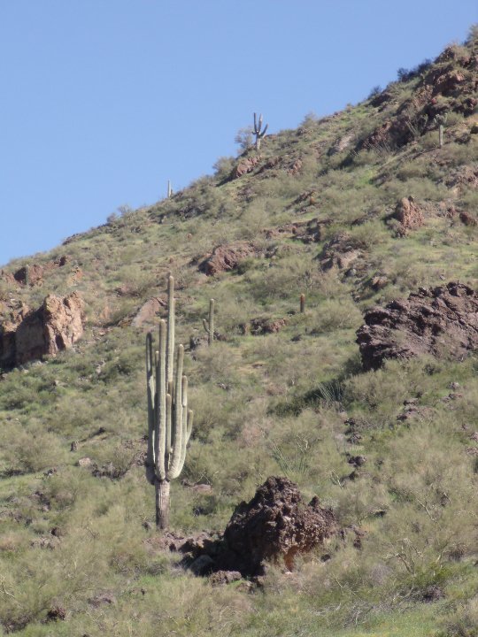 Robert Stevens' album, Picacho_Peak Hike