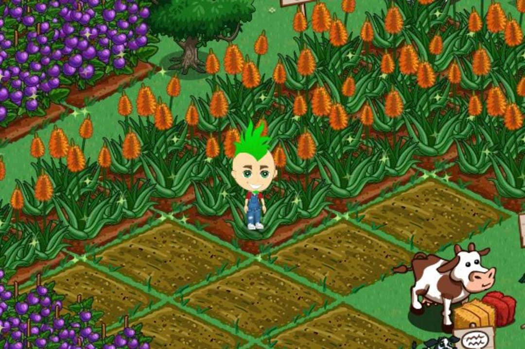 BRIAN HALL's album, FarmVille Photos