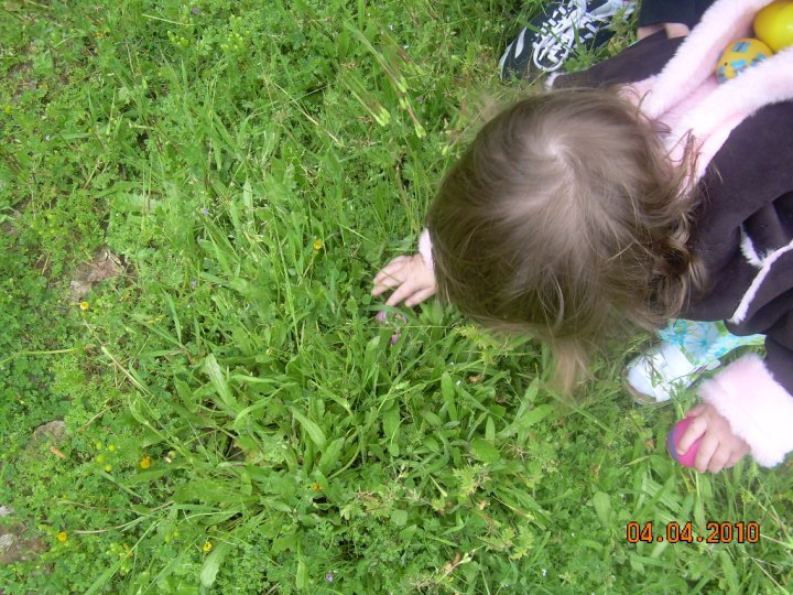 Sandra Gilbert's album, 2010
