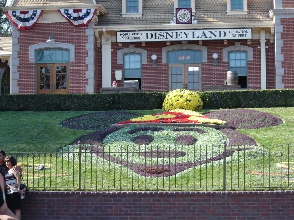 Elizabeth Harris' album, My Birthday at Disneyland