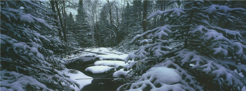 Christopher Ryan's album, Cover Photos