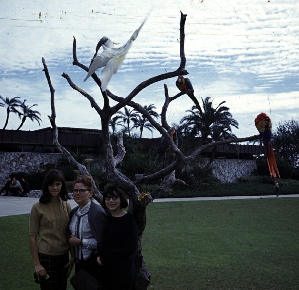 Douglas Meng's album, Photos of Unknown Origin