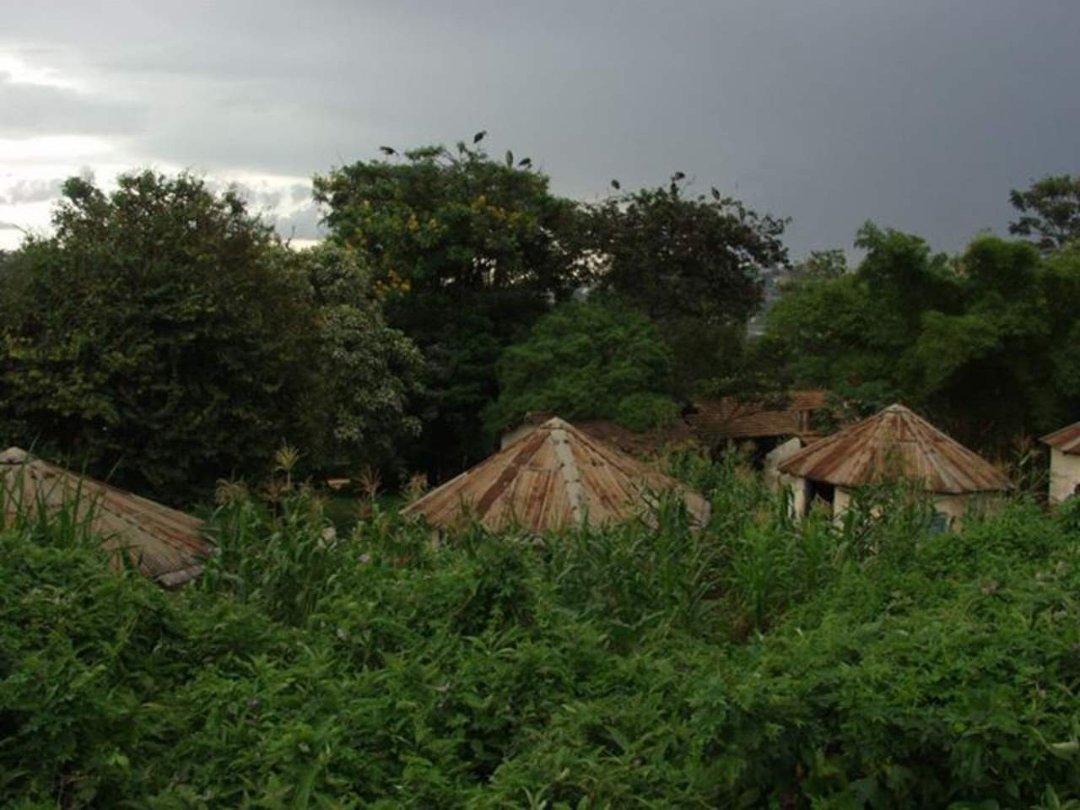Anthony Smith's album, Trip to Makerere University, Kampala, Uganda