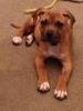 Ruth Johnson's album, Timeline Photos