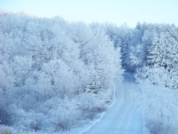 Kathryn Pfendler's album, Snow Day
