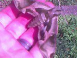 Aaron Mullin's album, Bugs!