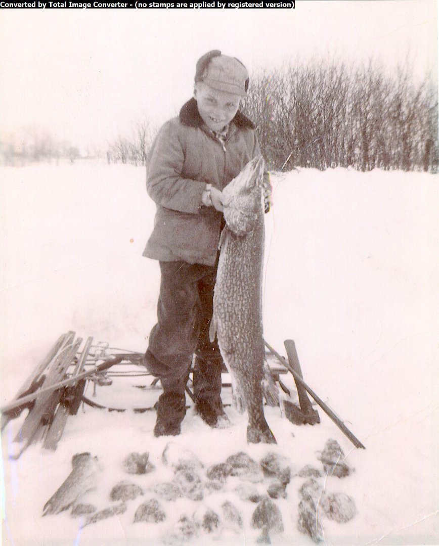 Allen Olson's album, Profile Pictures