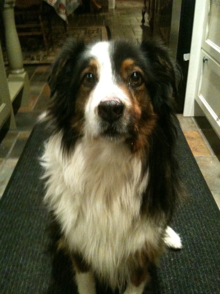 Don Simonsen's album, iOS Photos