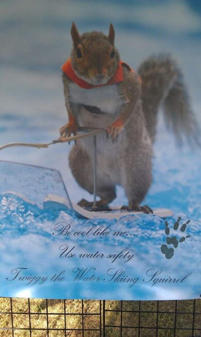 Ron Snyder's album, Mobile Uploads
