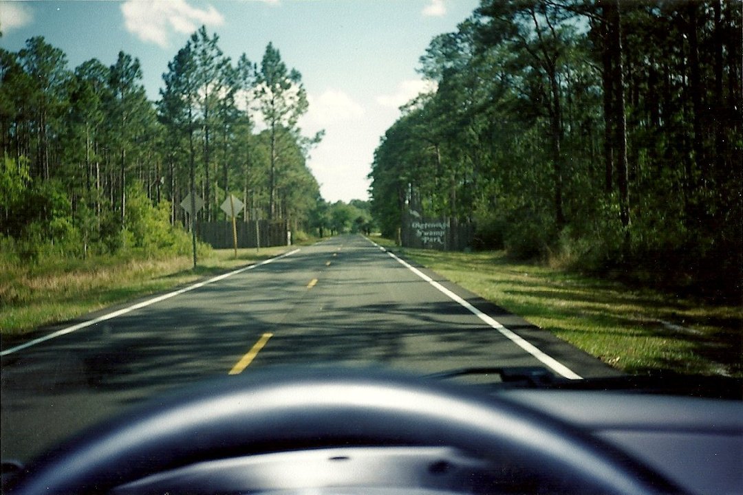 Karla Denney's album, Okefenokee Swamp 2000