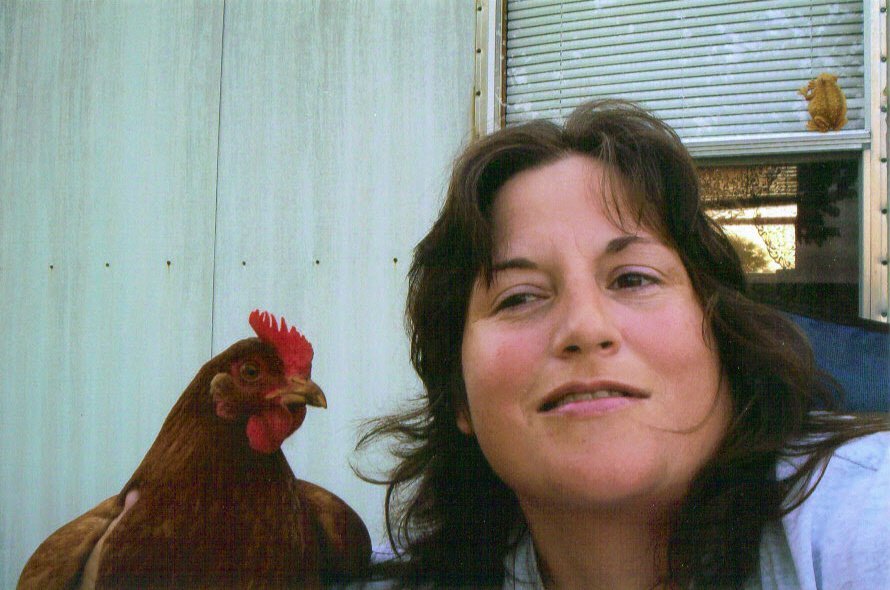Sandy Ferguson's album, back yard entertainment