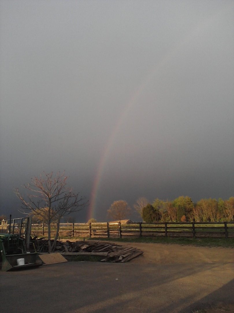 Laura Corder's album, Mobile Uploads