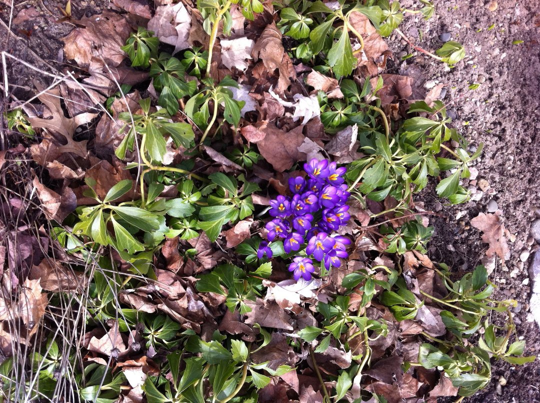 Barbara Pryor's album, Mobile Uploads
