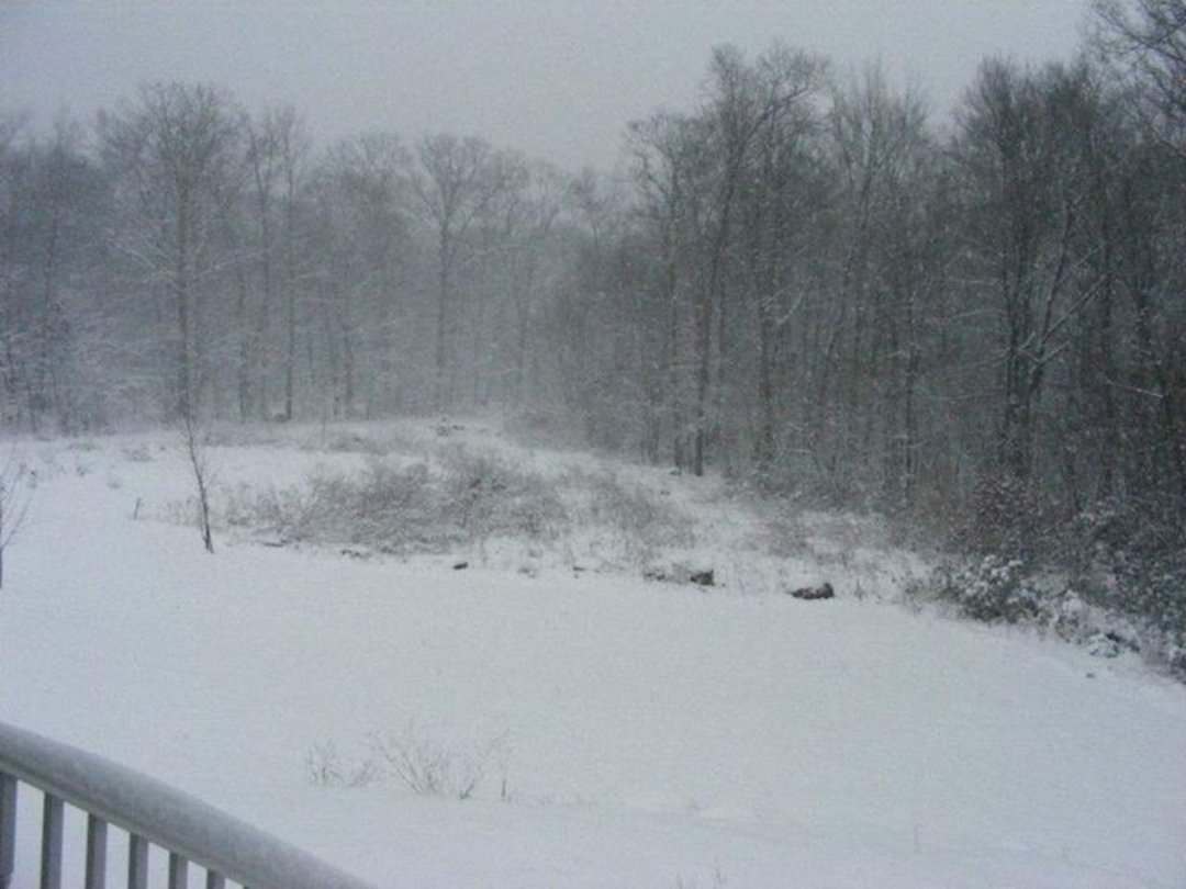 Larry Lovering's album, Snow on Leap Day