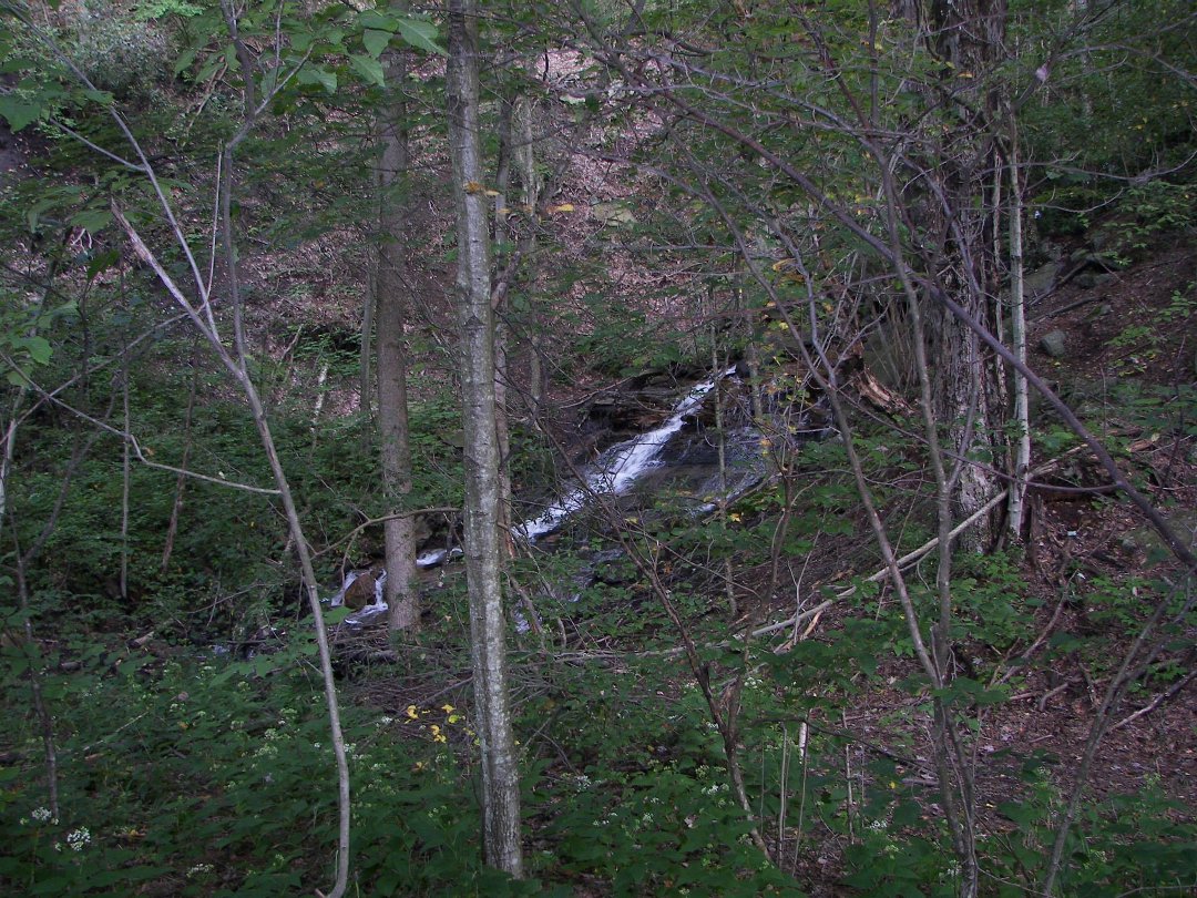 Carl Michael Moss' album, Douglas Falls/Blackwater Falls