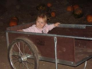 Buckey Walters' album, My grandbaby emilee