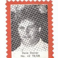 Dave Steiner's album, Profile Pictures