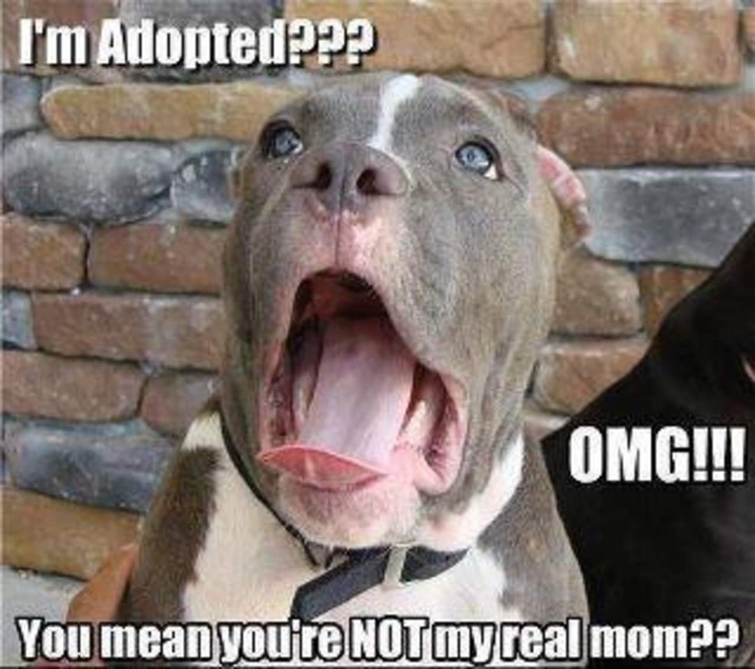 Dawn Wallace's album, Timeline Photos