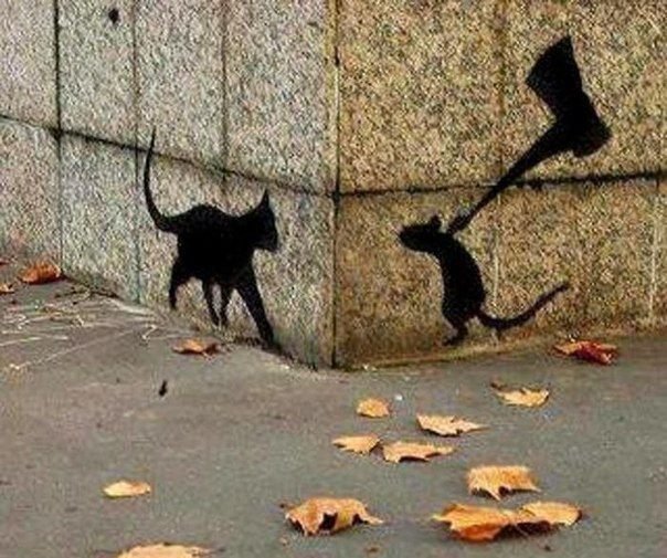 David Spence's album, Timeline Photos