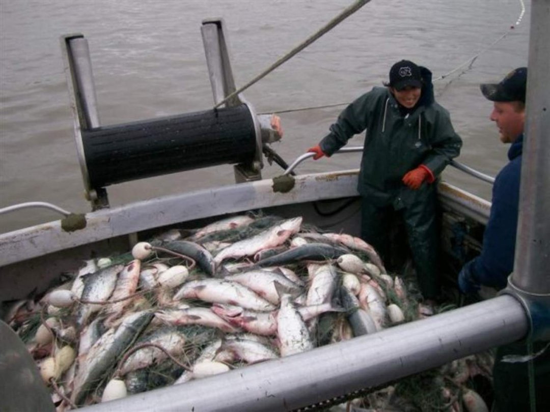 Anthony Bruno's album, Fishing Carrer