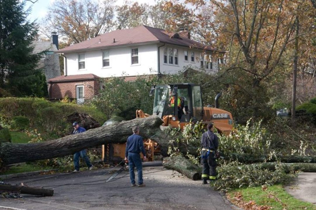 Thomas Bricker's album, Hurricane Sandy Visits the Brickers