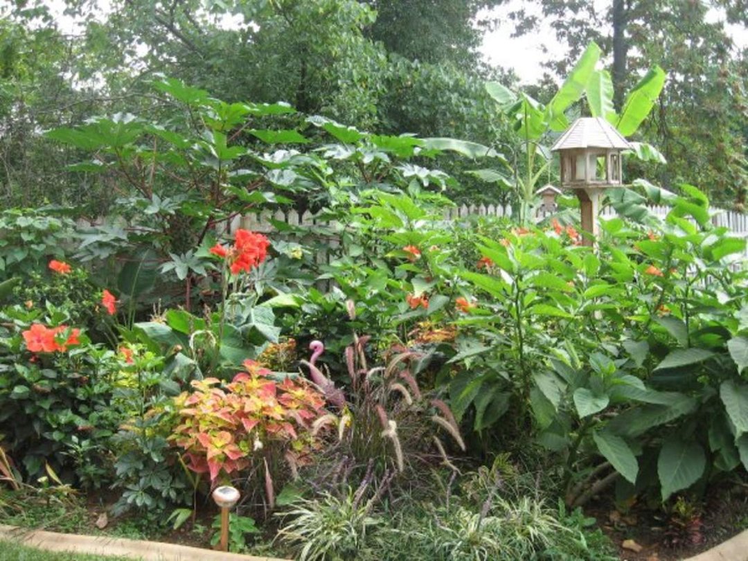 Sharon Moore's album, Missing My Garden