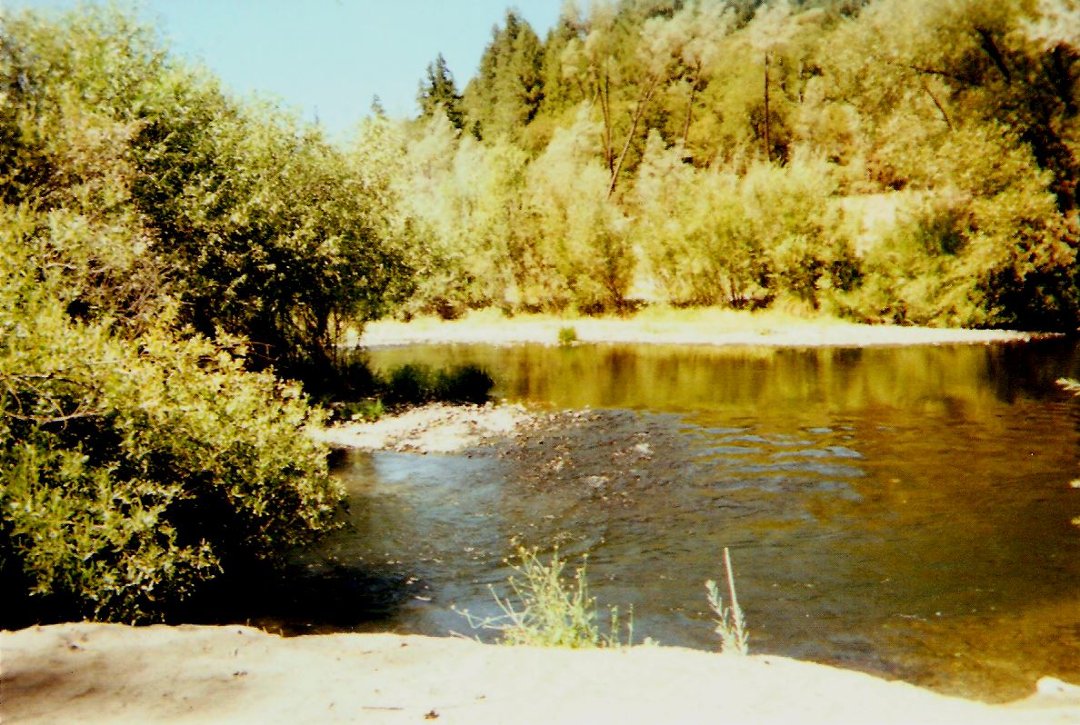 deborah evans' album, Cover Photos