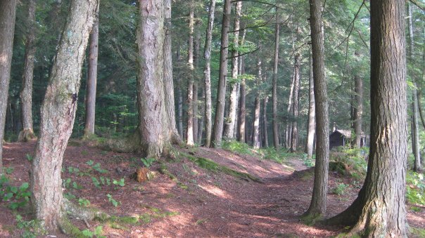 NANCY Roberts' album, Alger island Camping
