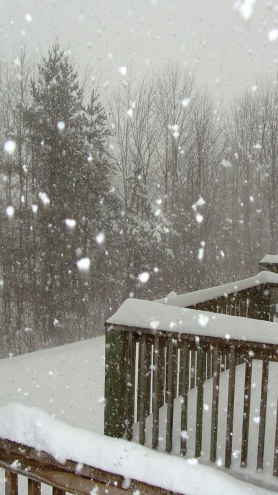 Gail Bates' album, Blizzard of 2011