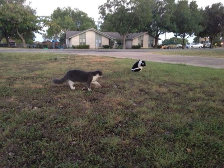 Beth Smith's album, iOS Photos