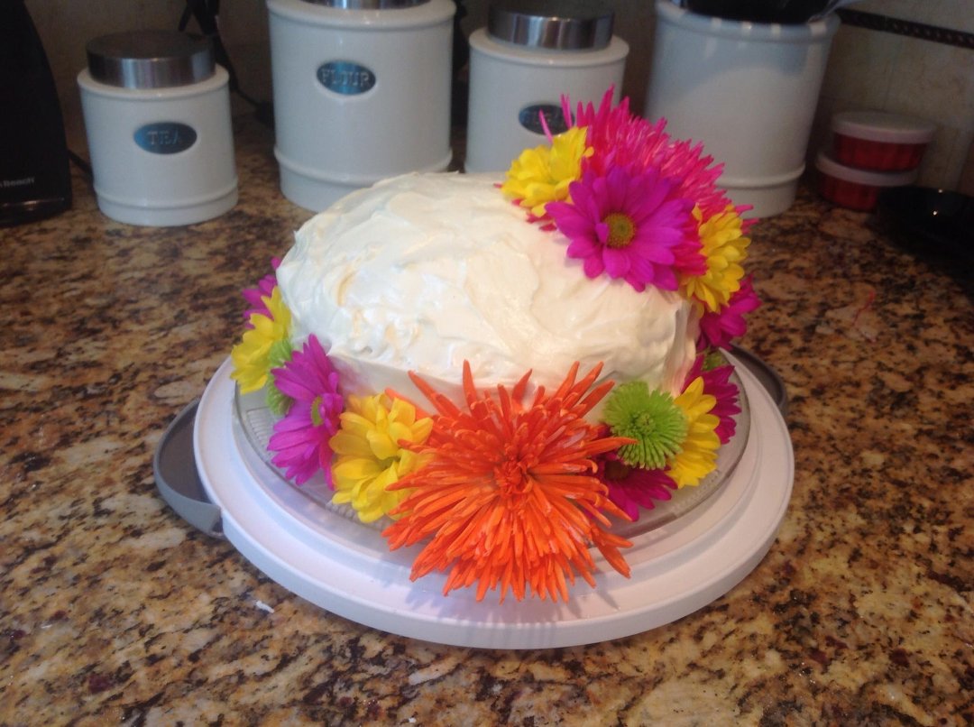 Toni Willey's album, Timeline Photos