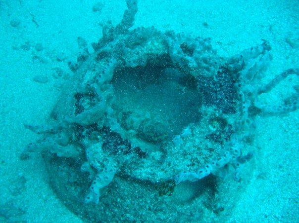 Steven Clem's album, St Maarten Diving