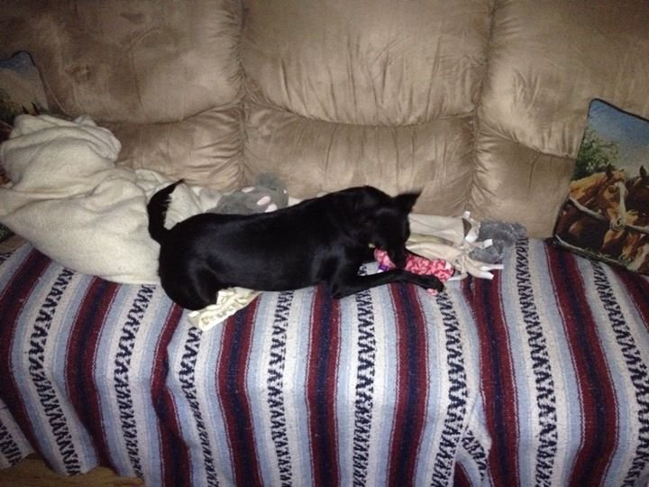 Kevin Graeb's album, iOS Photos