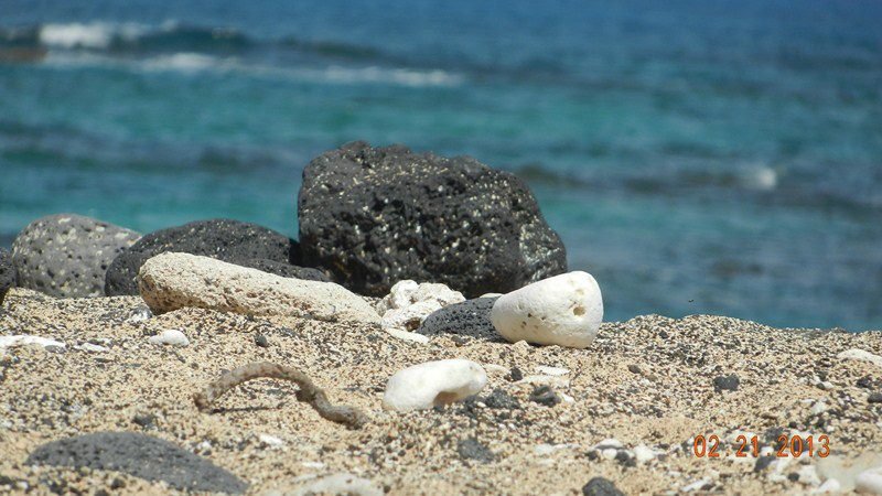 Rich Jackson's album, Kekaha Kai State Park