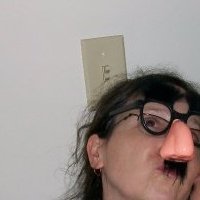 Susan Razzaz's album, Profile Pictures