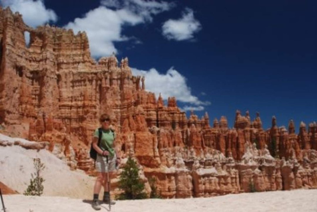 Michael Fingerle's album, West Trip 2010