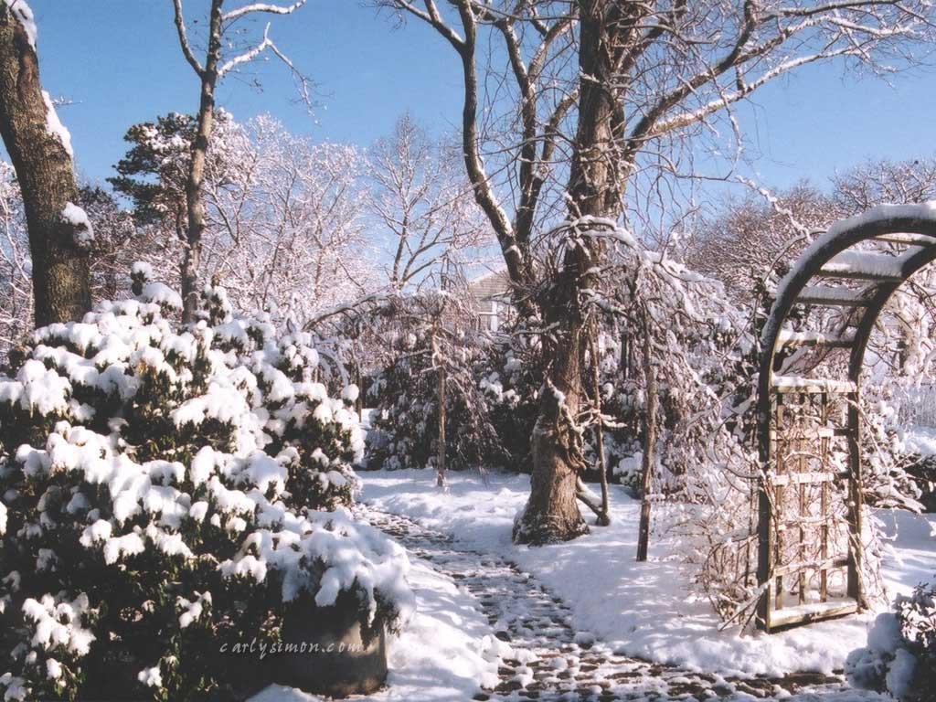 Beverly Casey's album, Cover Photos