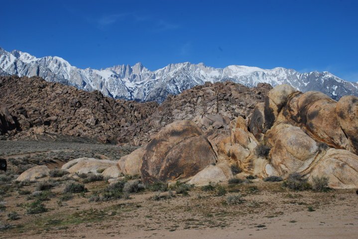 Robert Todd's album, lone Pine