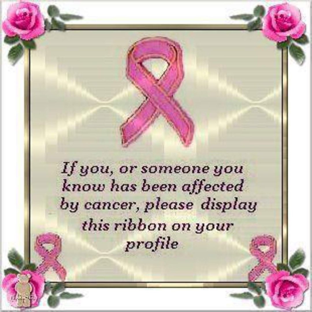 jim dolan's album, Timeline Photos