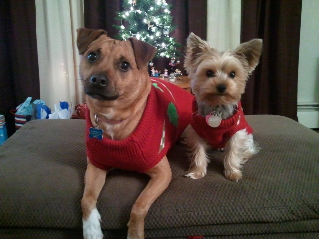 Stacey Bernier's album, Mobile Uploads