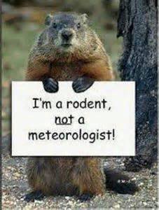 Laura Moor's album, Timeline Photos
