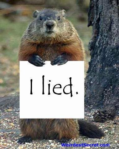 Bill Fleming's album, Timeline Photos
