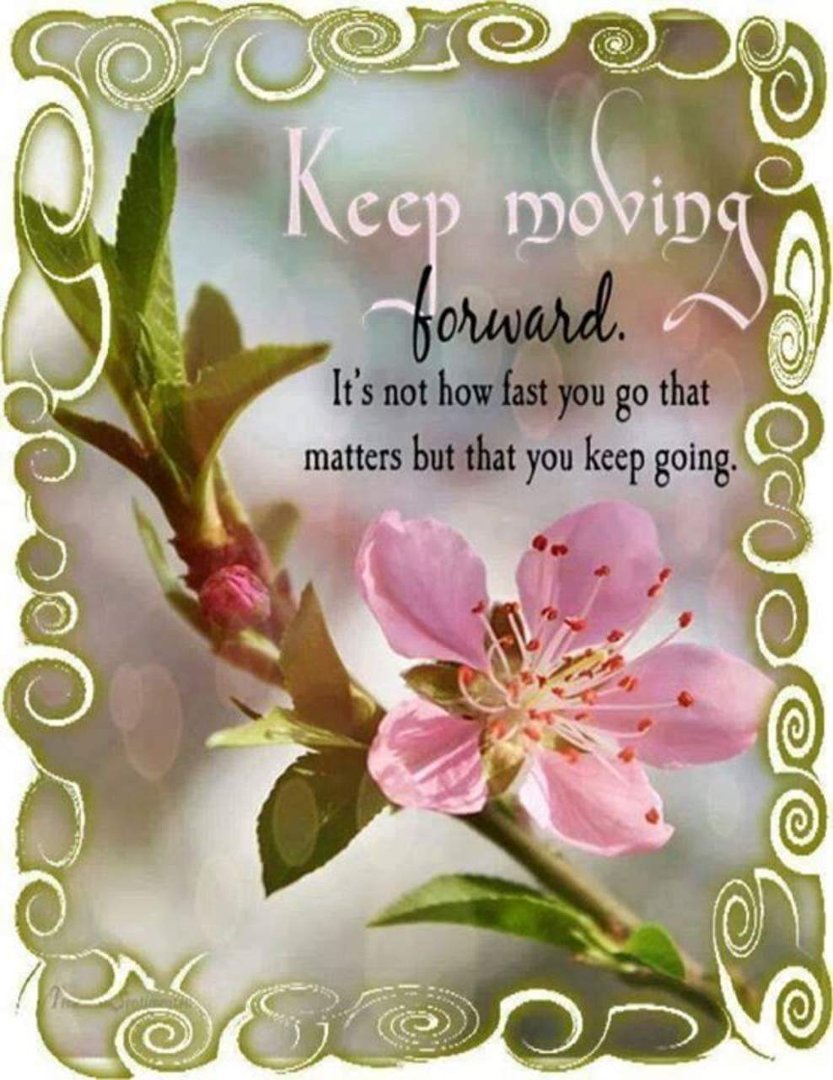 Cathy Miller's album, Mobile Uploads