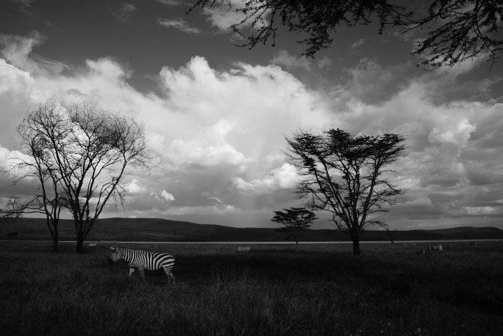 Greg Roworth's album, Kenya